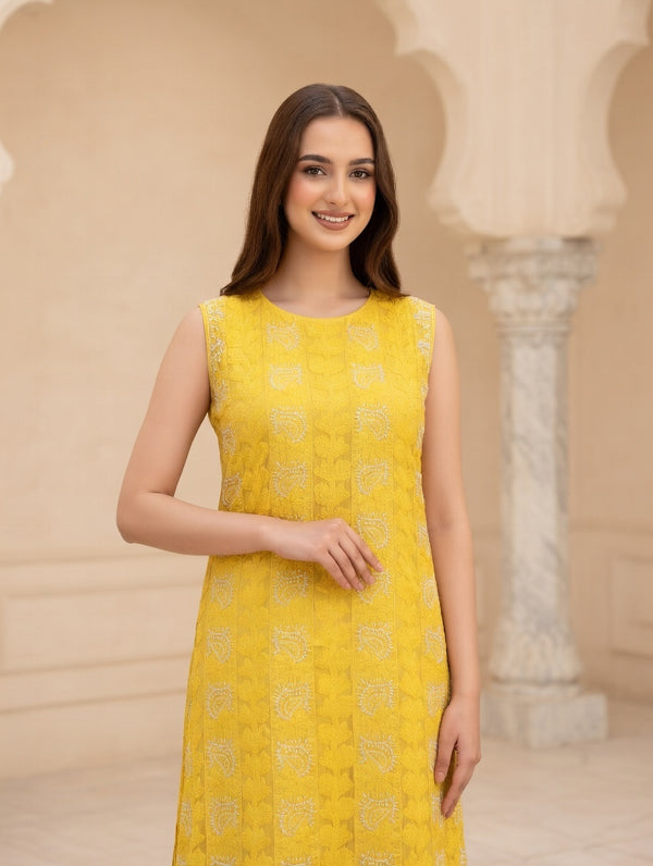 Indian chikankari Lucknowi Kurta Unstitched