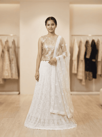 Indian Chikankari Multi-Kadena Work Lehenga
